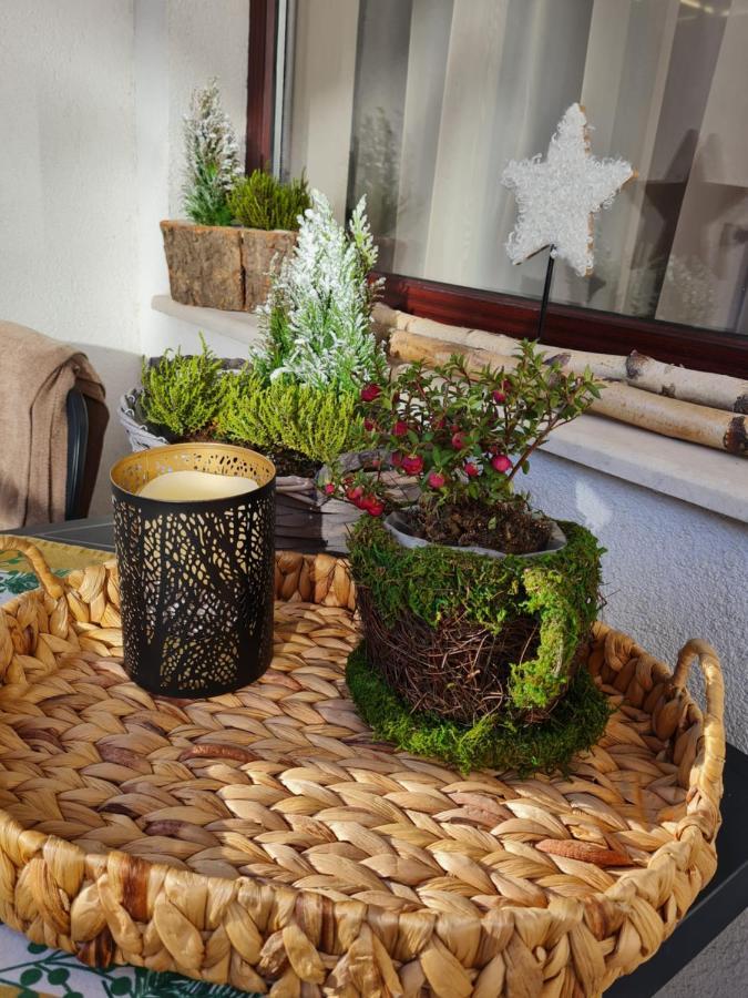 Mountain Peak Apartment 波罗维茨 外观 照片